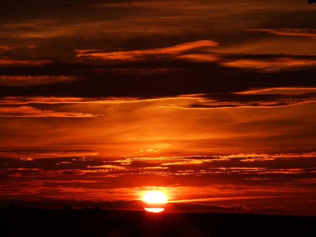 ここのおうちの庭からきれいな夕陽が見られました。
