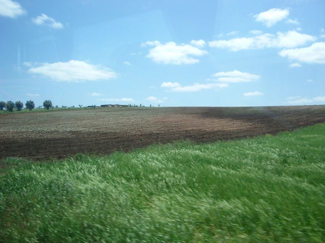 外の景色はず〜っとこんな感じ！