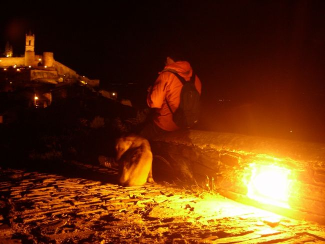 昼間のワンちゃんが近づいてきた。<br />もう、子犬はくわえていなかった。<br />観光客が好きなのか、ずっとピッタリくっついてきた。