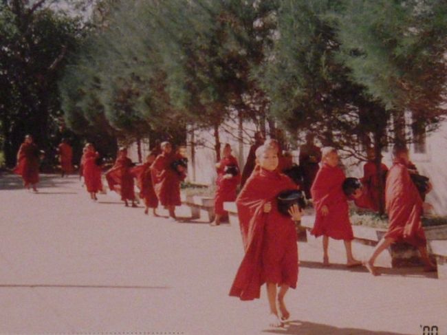 ヤンゴン　ナーガ僧院小僧さんたちの托鉢