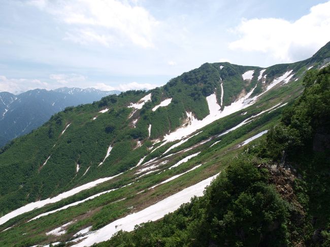 このあたりの標高は2316メートルだそうです