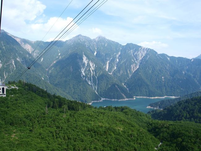 まるでイラストのようです。