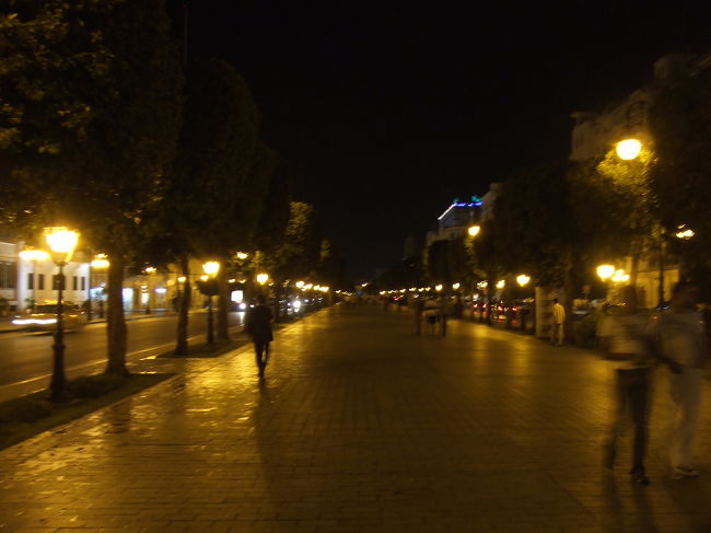 チュニス空港からタクシーで<br />「El Hana International」<br />というホテルまで来ました。<br /><br />しかし、タクシーの運転手にホテル名を言っても通じず、「Cafe de Paris」の近くです、と言ったら通じました。なぜだ。<br /><br />一応、５つ星ホテルということでしたが、<br />いたって普通のシンプルなホテルでした。<br />本当に５つ星なのだろうか。。。<br /><br />ホテルに着いたころには、<br />辺りは暗くなっていました。