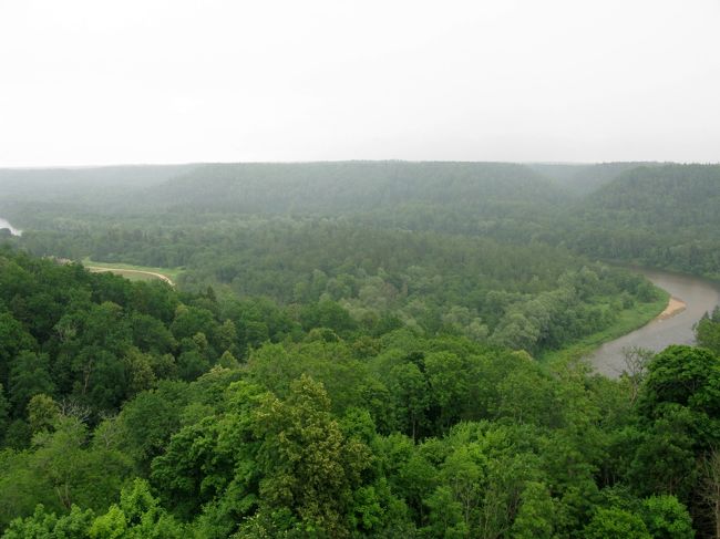森の緑に霧がきれいだ．６月下旬の肥薩線をおもいだす．