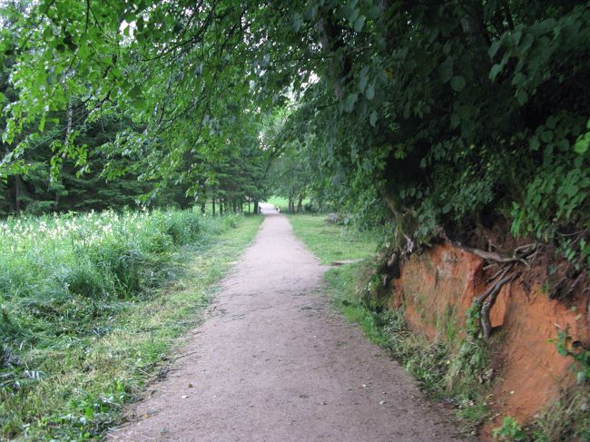 他の観光客はマイカーできている人が多い．ここには観光バスはよらないようだ．ここからさらに歩く．誰もいない！！城址まで約1ｋｍ強．誰にも会わなかった．時々雨がぱらつく．