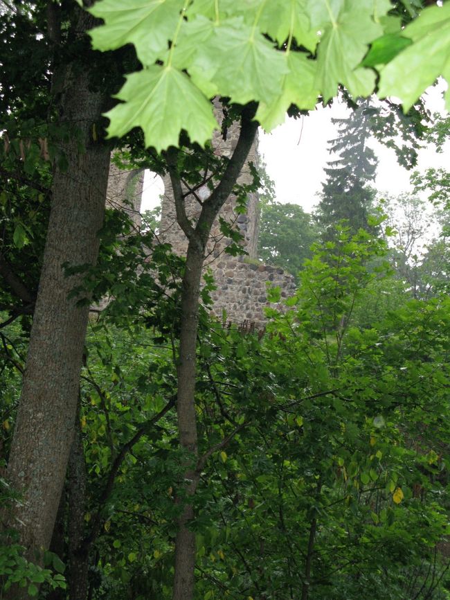 1325分ごろ，城址につく手前で突如大雨に降られる．身動きできない．１５分ほど雨宿りした後，決死で２０秒ほど走って，城址前の展望用テントに行く．
