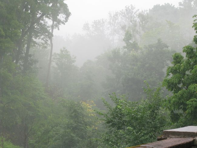 なんと霧が出てきた．おおきな雷がなっている．これはたいへんだ！雨が激しすぎて誰も来ない．隣がレストランなのでいざとなればタクシーを呼んでもらえばいい．でもこれだけ雨が激しければ今は動かない方が得策．雷なのでいずれ小降りになるだろう．