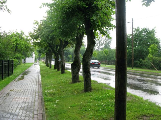 やっと小降りになり1420過ぎに歩けるようになる．1430にはほぼやんだ．1502のValga行き列車でCesisにいけるだろう．城址より駅まで1.5ｋｍ．<br /><br /><br />