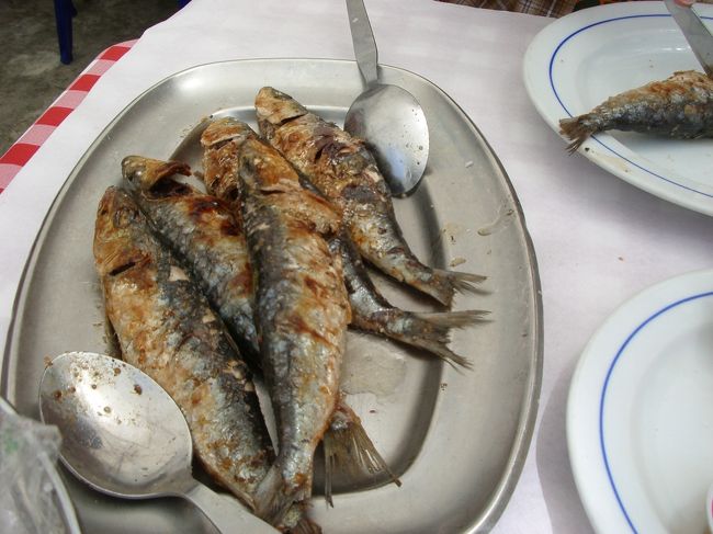 カシーリャスまで戻り昼食。<br /><br />外はパリパリ、なかはふわっふわの<br />ジューシーないわし。<br />とてもおいしかったです。<br /><br />あちこちのレストランで魚を焼いていて、<br />どこもかしこもおいしそうでした！<br /><br />