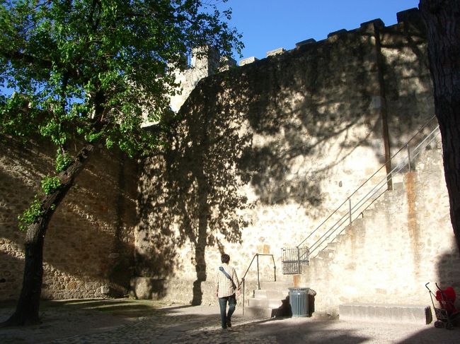 だいぶ太陽が傾いてきたので、<br />城壁に木の影が映って綺麗です。