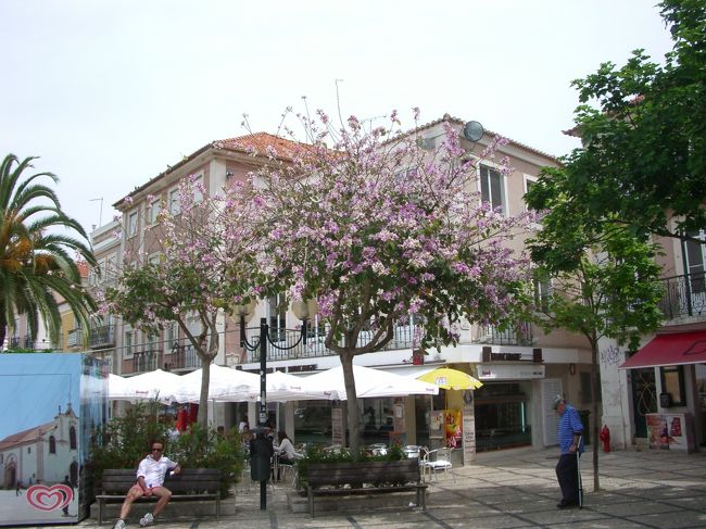 至る所に、百日紅の様な、淡い紫色の花が咲いてました。<br /><br />おかげで、ポルトガル＝紫のイメージです。