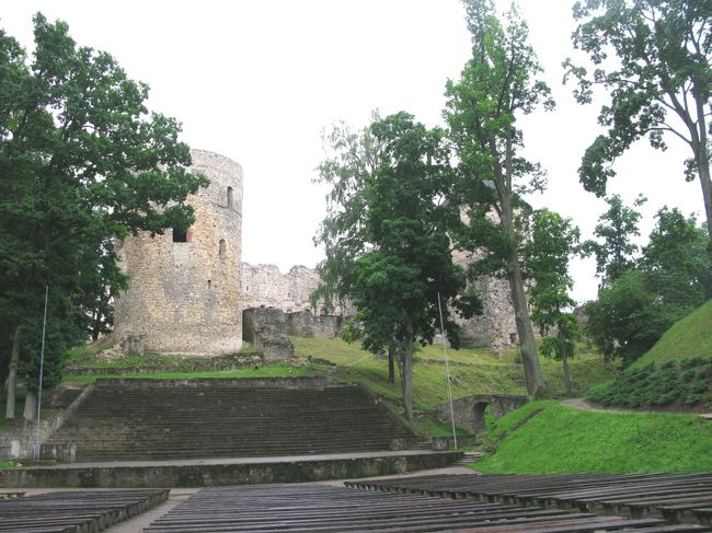 城公園に降りたところから城を見る．