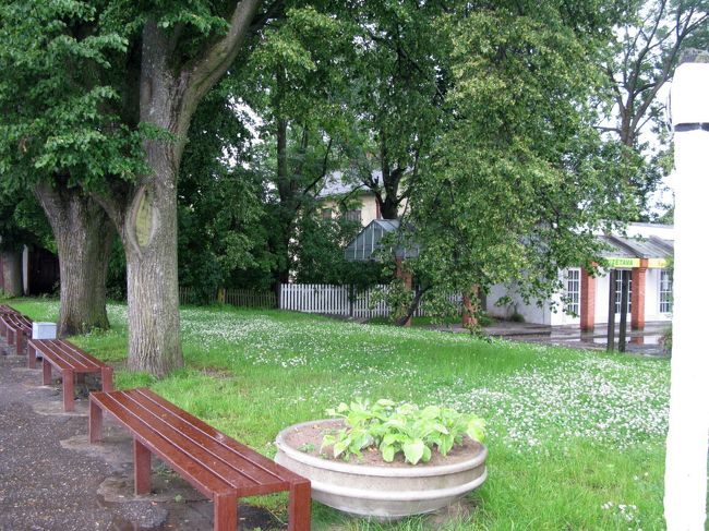 駅のホームはどこもそうだが直接駅舎を通らず町にでられる．この駅も対側にいくのに線路を直接（踏切もないので）渡っていく．