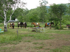 上高地からの帰りに乗鞍高原に立ち寄りました。
