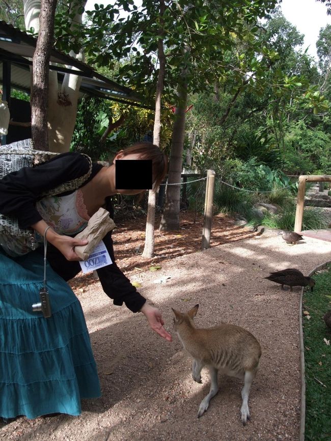 入ってすぐ、カンガルーとワラビーのふれあい広場が。<br /><br />少し食べてくれたけど、<br />2、3匹しか居なくて人だかり。<br />後の子達は、すでに日陰で寝てる。<br />やる気ねー・・・。