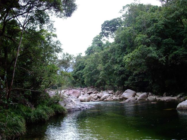 ポートダグラスを後にして、お次はモスマン渓谷へ。