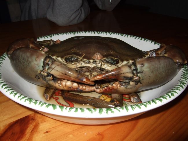 シェアへ戻ると、シェアメイトが待ってました。<br />この日は私の為に、<br />マッドクラブを調理してくれるそうな。<br /><br />働いてるイタリアンレストランのオーナーが、<br />シェアメイトの妹が来るっていったらくれたんだって。<br />太っ腹！！