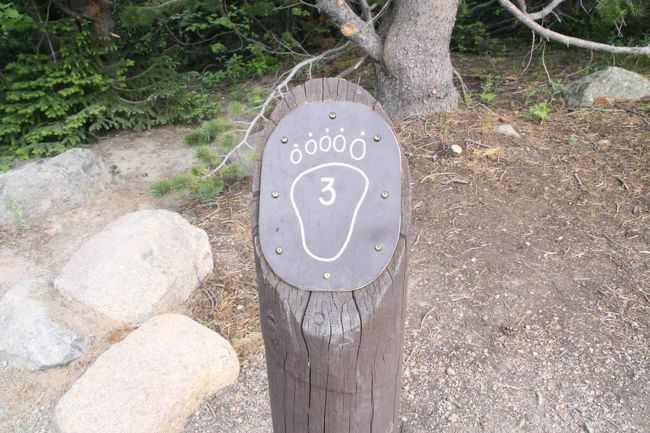 これといったポイントではないのですが、道標？このような標識が所々にありました。ま・目印なのでしょう！