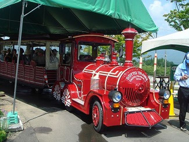 ロードトレイン<br />ドット君