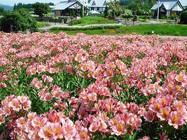 アルストロメリア