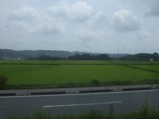 小湊鉄道の車窓から。<br />ひじょーーーーに、のどかです。