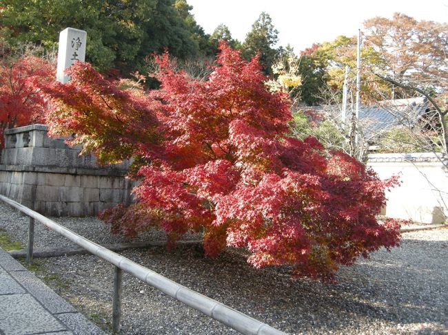 光明寺入口＆出口の写真です。<br />ここからもう紅葉が！きれいすぎる…