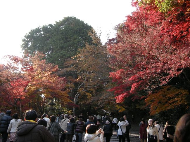 光明寺の紅葉（≧▽≦）