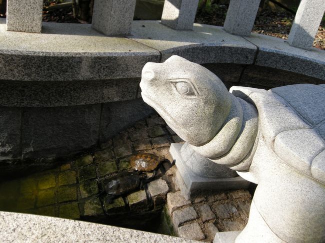 ゴンドラから無事降りて、駐車場まで歩いていたら<br />亀の石像があって、面白いなって思ってよく観察してみたら<br />手の部分のとこに本物の亀が！それも２匹！！<br />最初、全然動かないから偽者かと思った（笑）<br />石像の亀と本物の亀が睨み合ってて、大爆笑しちゃった！