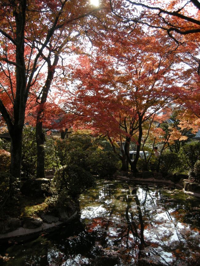 これは水辺と紅葉を一緒に撮ってみたかったもの。<br />でも、ちょっと薄暗くて、うまく水辺に写らなかった…