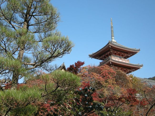 すっごい角度（しゃがんだ）で撮ったもの。<br />どうしても、あの建物を入れて撮りたかったのだ！