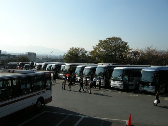 駐車場。この大型バスの数！<br />すっごいよね〜。<br />さすが、秋の京都だ（ノ゜o゜）ノ