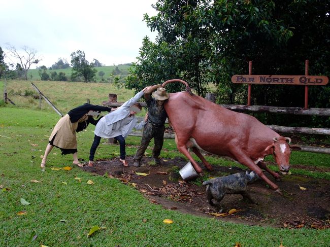 第2目的地のミラミラフォールへ行く途中、<br />小さな町の片隅に、牛発見！<br /><br />なんてことないただの飾りに、<br />大爆笑しながら撮影・・・。