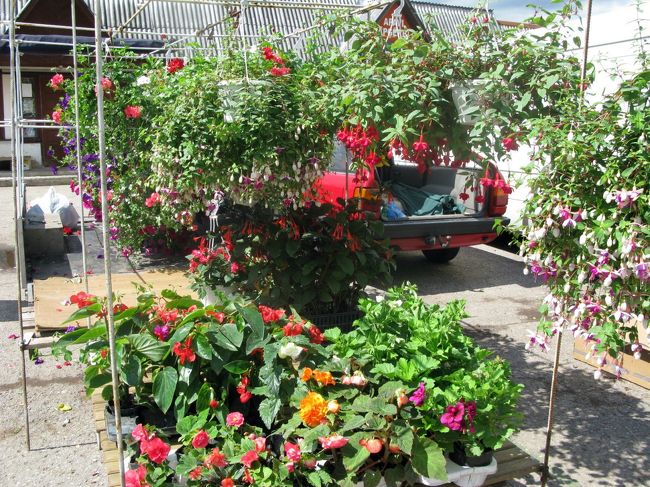 花や，土地の人も来ていてここは楽しかった．