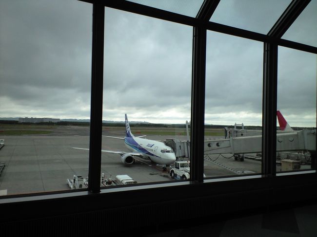 朝の新千歳空港です。<br /><br />仙台行きの飛行機は予想より小さかった（笑）<br /><br />実はこの日、花団のF4とつくしが札幌へ来る！事になっていてー、、ではれば　マチガイナクANAでしょって事でー。。<br /><br />隣の東京からの飛行機に注目ー！（来るならこの朝の便だろってコトデ！）<br />でも、、、それらしき人は見えず、、。<br />（専用ジェットで来て滑走路からバスだったと後で知りました）