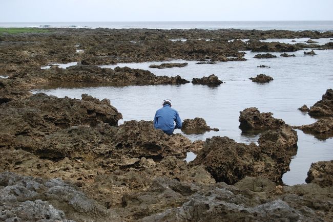 熱帯魚の家で魚をさばく地元の海人