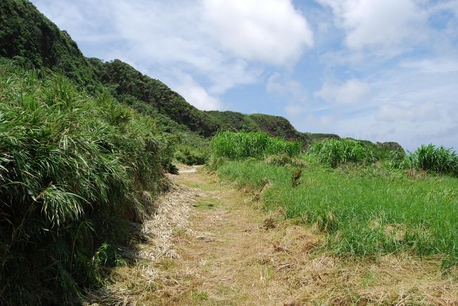 宇江城・仲村渠線歩道