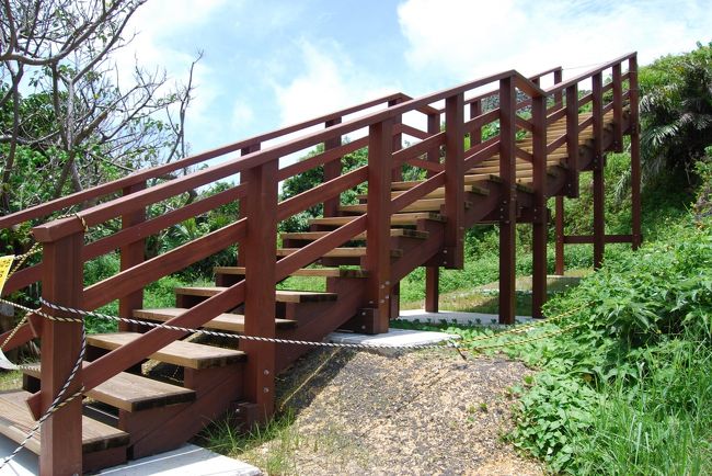 階段製作中でした<br /><br />確かに石垣の階段は足場が悪い<br />