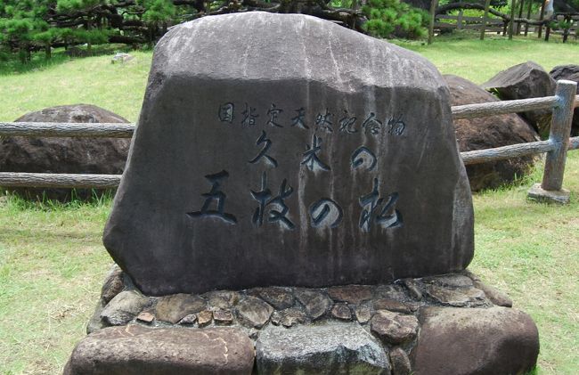 レンタカー返却まで少し時間があったので<br /><br />五枝の松へ<br />