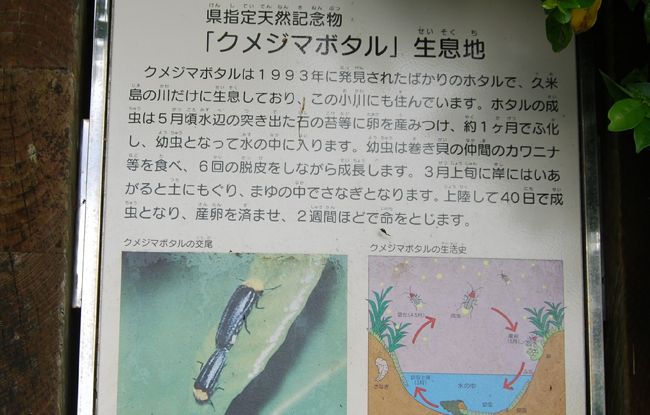 横の小川にあった看板