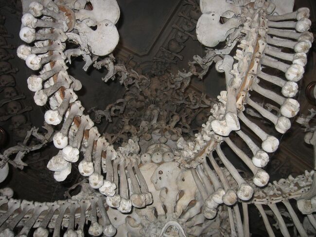 ホントに骨なのかなー、と拡大して撮ってみました。<br /><br />ホントに骨ですね。