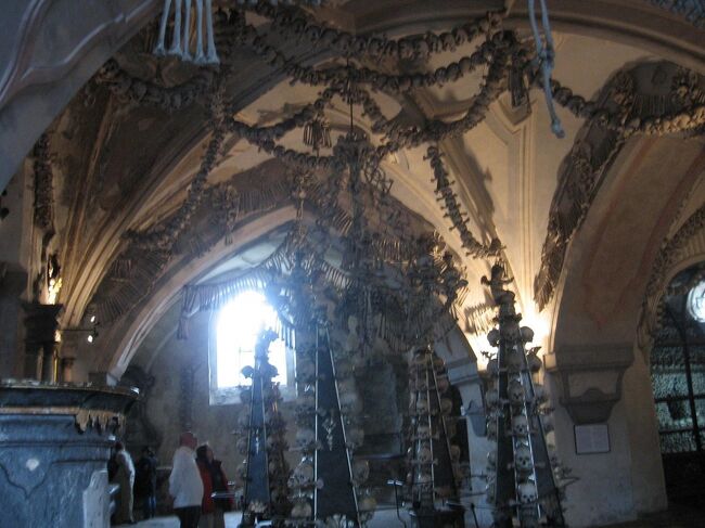 シャンデリアのあるホールの様子。<br />上の骨は何で吊ってあるのでしょう。<br /><br />たまに落ちてきたりしないのでしょうか？