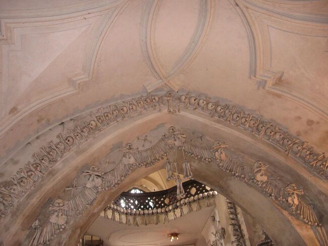 あらゆるところに骨。