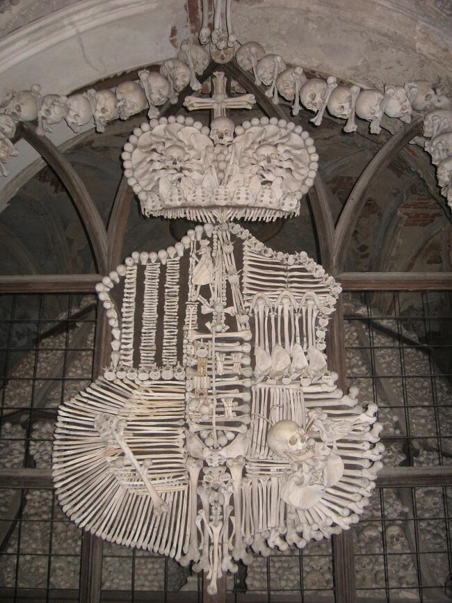 シュヴァルツェンベルク家の紋章。<br />いったいどこの骨をどう使っているのか。