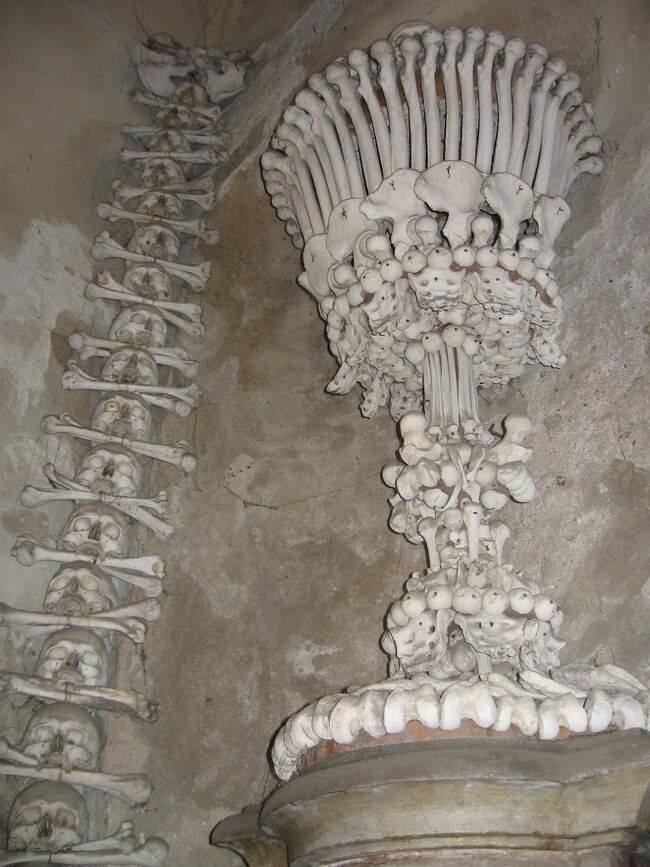 まさに人骨アート。<br />