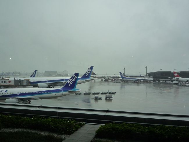 自宅を出るときはパラパラの雨も、成田ではザアザア降り・・・。<br />いやー、移動中に降られなくて良かった（＾＾；<br />カウンターがオープンしたので、手続きに向かう。<br />そのまま、各自でチェックイン。<br />再集合で今回のツアーのメンバーの方々とご対面。<br />シニア向けなので、当たり前だがシニア層がほとんど。でも、我が家以外でももうひと組母娘で参加されてました。<br />そして、添乗員さんからのご挨拶。<br />そして、衝撃的（？）な発言が…。<br /><br />「えー、今回の飛行機のお座席ですが、３・４・３の配列となっております。で、申し訳ございませんが、ほとんどの方が窓際・通路側のお座席には座れません・・・」<br />（マジで！！！）<br />「めったにこんなことはないのですが、今回のフライトは個人予約の方が多いらしく、ほとんどの通路側の席はおさえられており、申し訳ございませんがご了承下さい」<br /><br />なんと無情な・・・。<br /><br />いやー、ツアーだから少なくとも中4列の通路側2席は確保できると思っていのですが、こんな仕打ちが待っているとは。(;´д｀)トホホ<br />