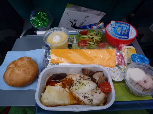 さて、まあ嘆いていてもしょうがないので早速、セキュリティーチェックと出国審査へ。<br />前回のハネムーンで出国審査時に、スッピンのためか審査官のオヤジに「本当にこれアンタ？」と言われた私・・・。<br />今回はバッチリお化粧をして審査に臨む。<br />（あたりまえだが）今回はラクラク通過〜。<br /><br /><br />機内は若干狭め。私たちの両隣りには若い日本人男性が二人。（まあ、外人じゃないからまだいいか・・・？）<br /><br />飛行機が無事出発して、しばらくして早速一回目のお食事タイム♪<br />メインは鶏肉か牛肉のチョイス。<br />私は鶏肉をチョイスしました。ちょっと、硬めでしたが、機内食にしては美味しく頂きました。<br /><br />その後、映画を見て暇つぶし。<br /><br />私の隣の人は1本映画を見て、後はひたすら寝てる。。。<br />よくこんなに眠れるなと思うくらい寝てる。。。<br />だから、もう遠慮なく「すみません・・・」と言って起こしてトイレに行きました。<br /><br />母の隣の人も起きてはいるが、なんか調べ物をし始めてこれまた声かけづらい感じでしたわ・・・。<br />