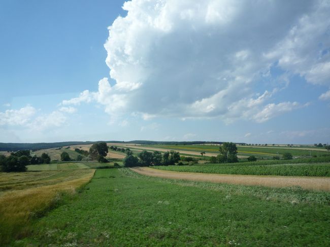 バスに乗って、今夜の宿泊地アイゼンシュタットへ。<br />バスの車窓からはブドウ畑が広がってます♪