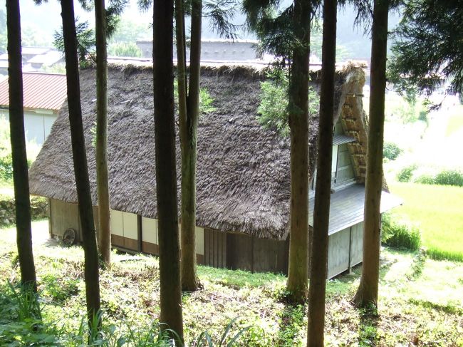 展望台から村まで坂道を下ります。<br /><br />途中、合掌造りの家が見えてきました。