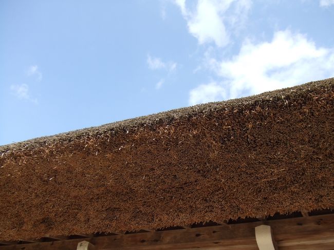 美しく切りそろえられた茅葺の屋根。<br /><br />