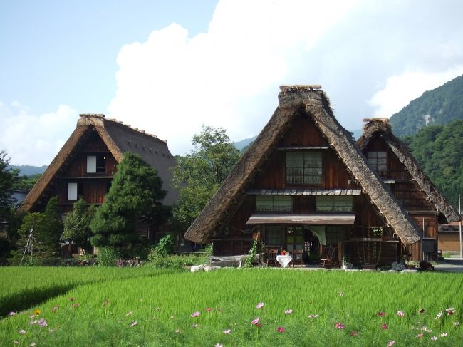 道なりにてくてく歩いていくと、<br />合掌造りの家が3軒並んだ写真スポットを<br />見つけました。